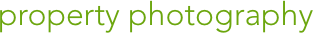 Adrydog Logo